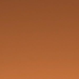 Meet your Posher, Devonte